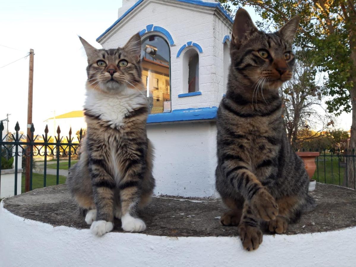 Meandros Village Vrazná Kültér fotó